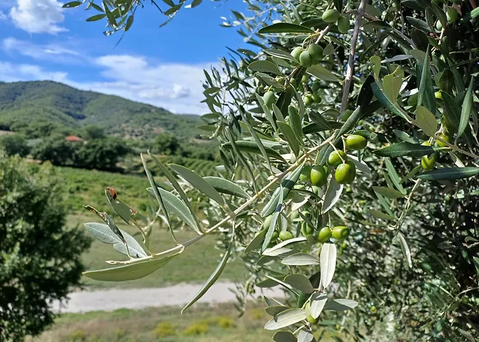 Agriturismo La Bulletta